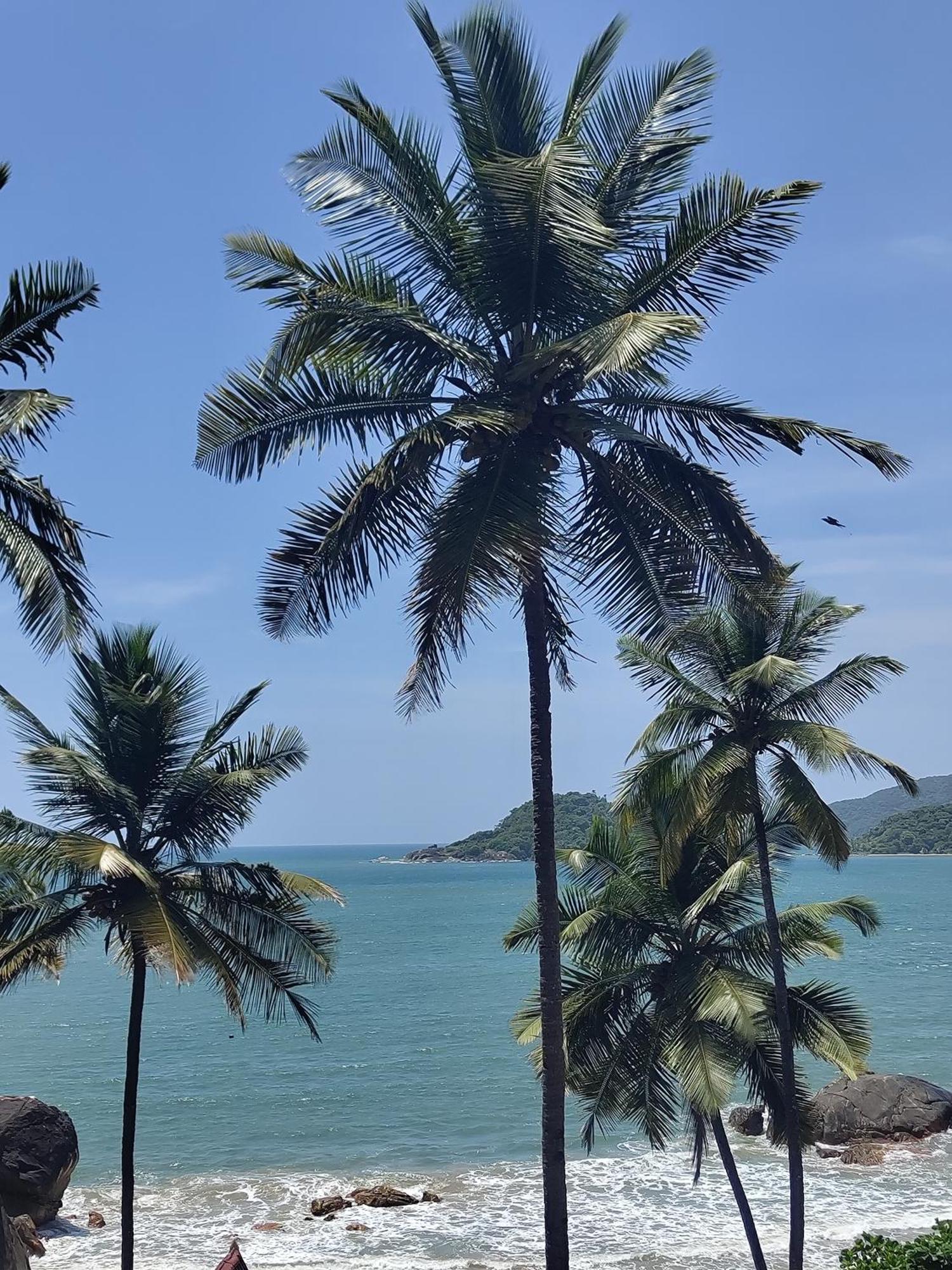 Hilltop Seaview Palolem Goa Hotell Exteriör bild