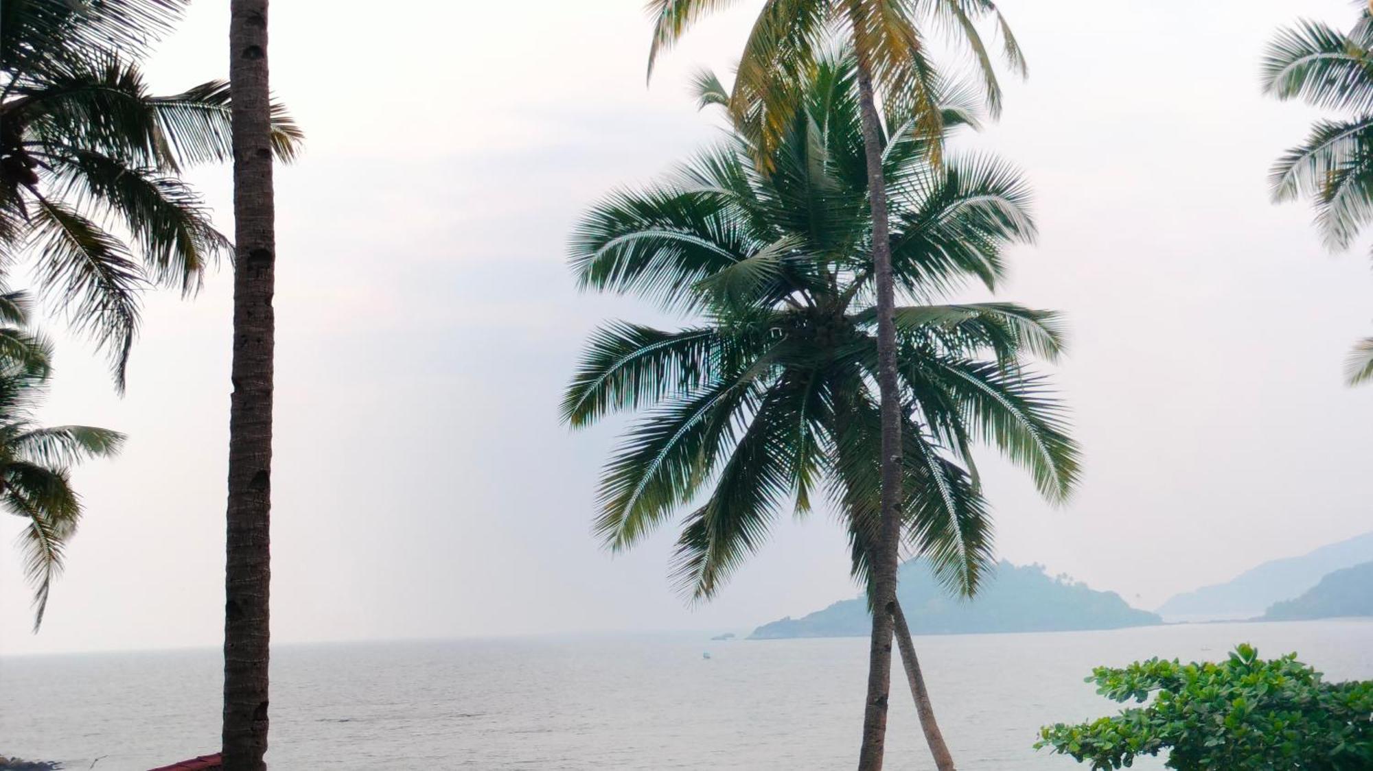 Hilltop Seaview Palolem Goa Hotell Rum bild
