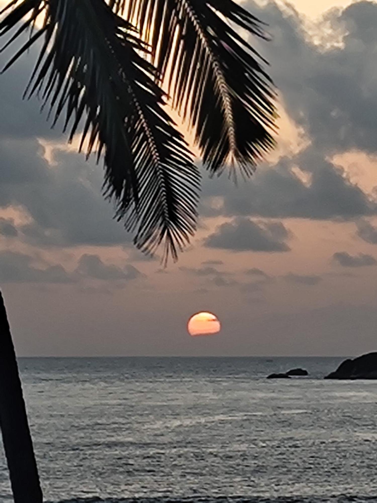 Hilltop Seaview Palolem Goa Hotell Exteriör bild