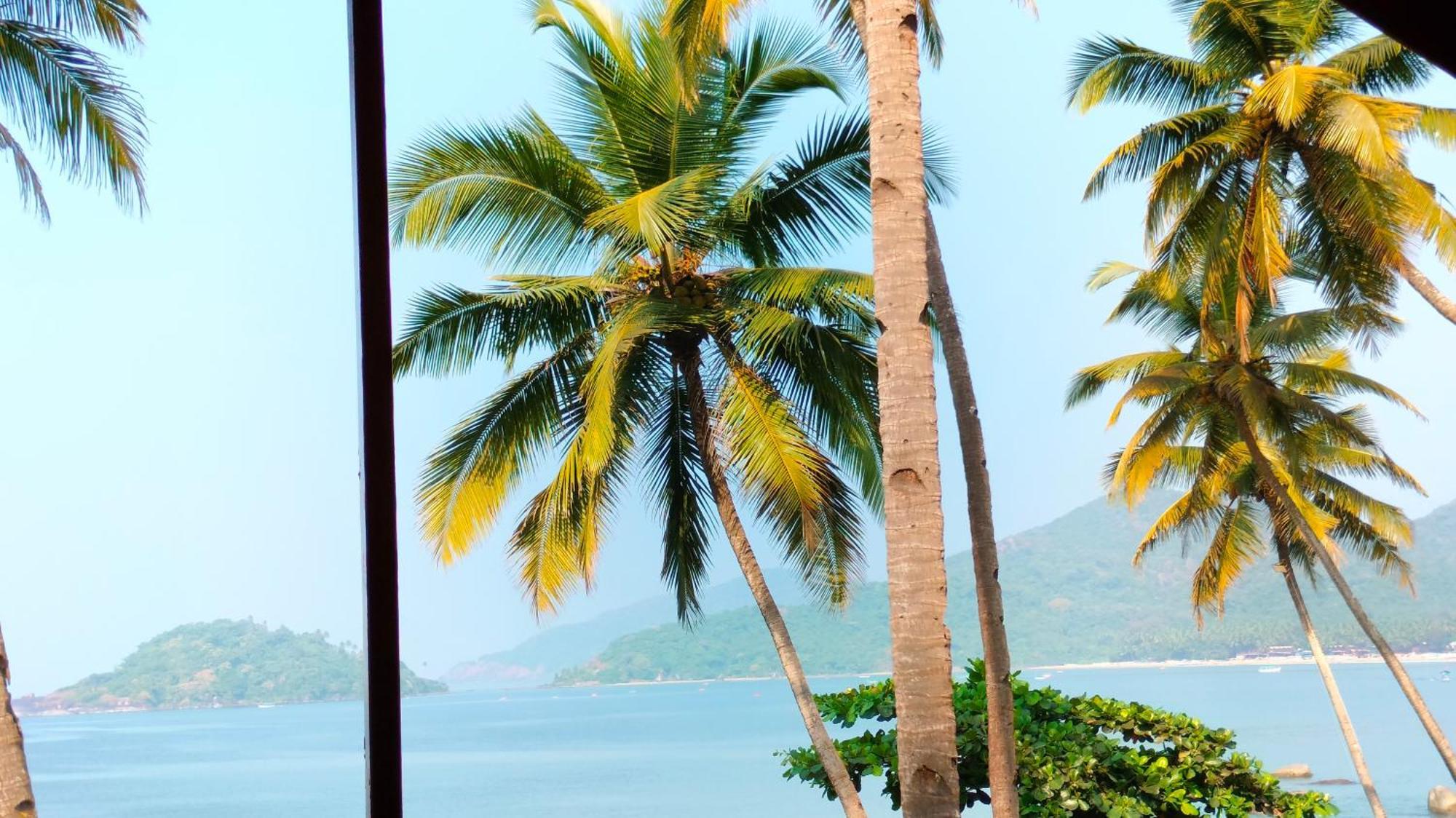 Hilltop Seaview Palolem Goa Hotell Rum bild